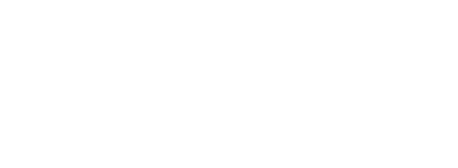 1001 Voyances